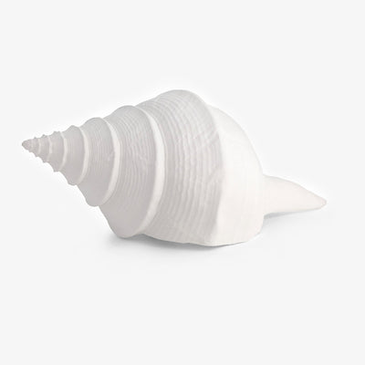 Sea Snail Resin Shell White Large Front