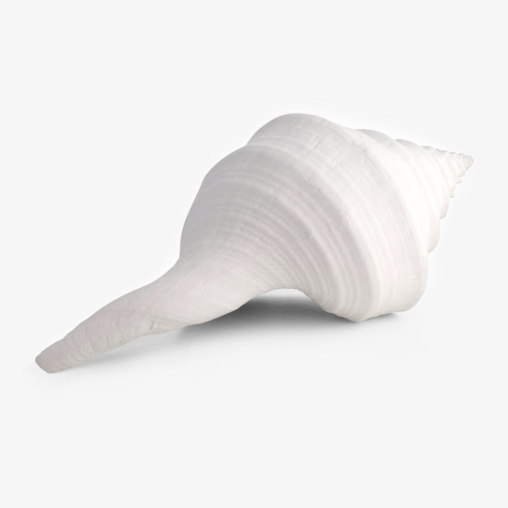 Sea Snail Resin Shell White Large