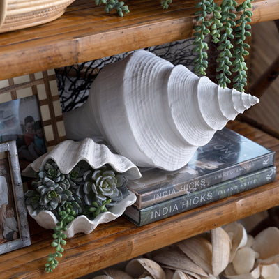 Sea Snail Resin Shell White Large Styled On Bookshelf