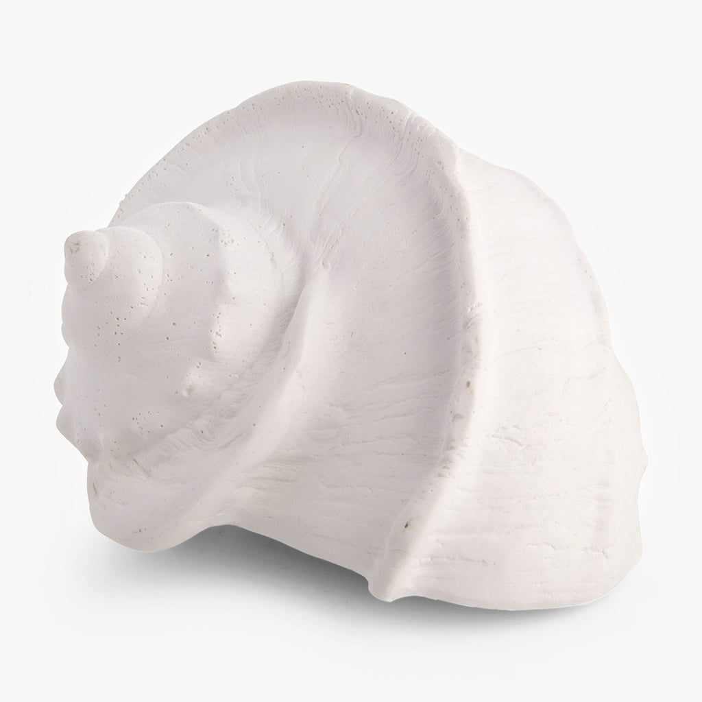 Sea Snail Resin Shell White Front