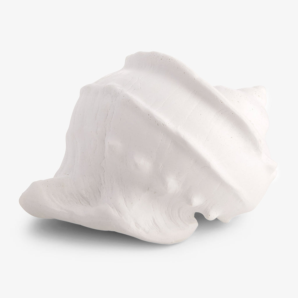 Sea Snail Resin Shell White Back