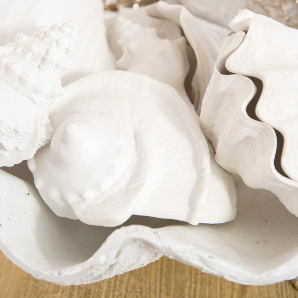 Sea Snail Resin Shell White Styled