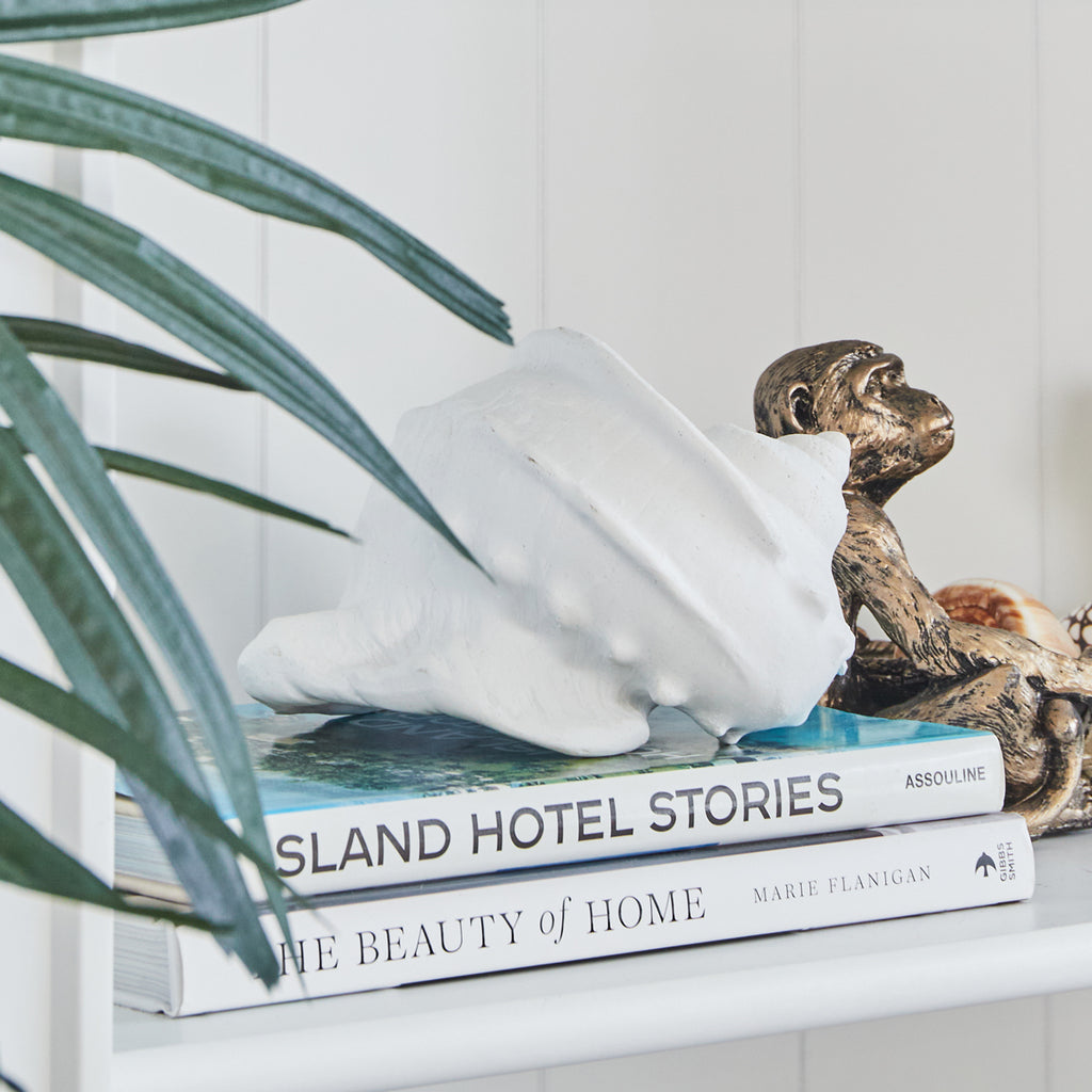 Sea Snail Resin Shell White Styled On Bookshelf
