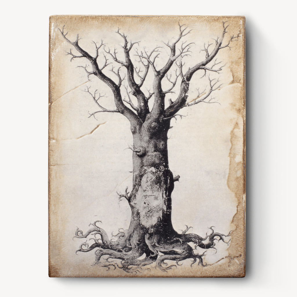 Sid Dickens Memory Block Medieval Tree Of Life