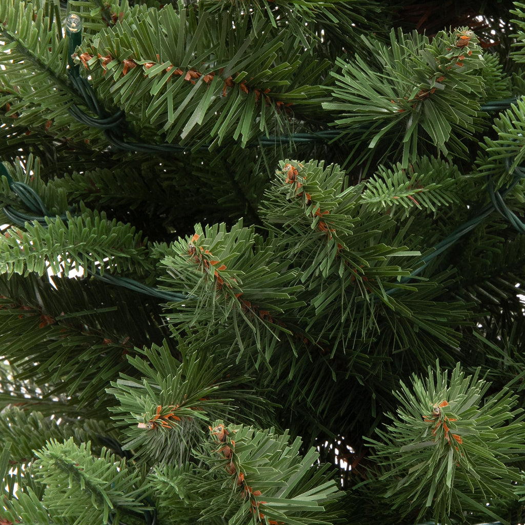 Slim Vermont Green Christmas Trees Close Up