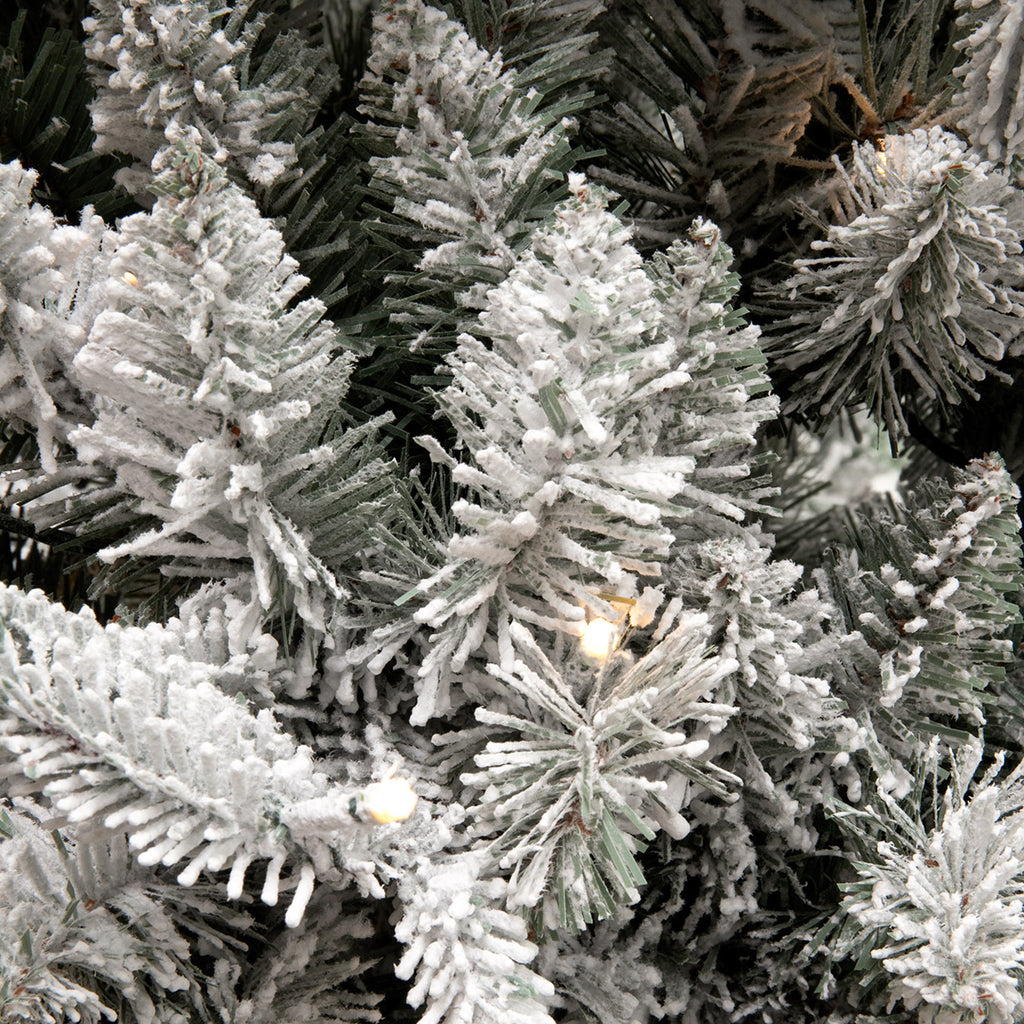 Close up of frosted snowy foliage of a Slim Vermont Christmas Tree