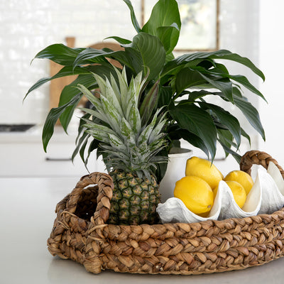 Water Hyacinth Trays With Handles Round Styled With Pineapple & Lemon