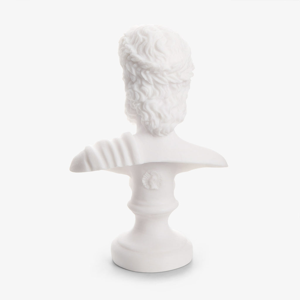 Zeus Marble Head Bust